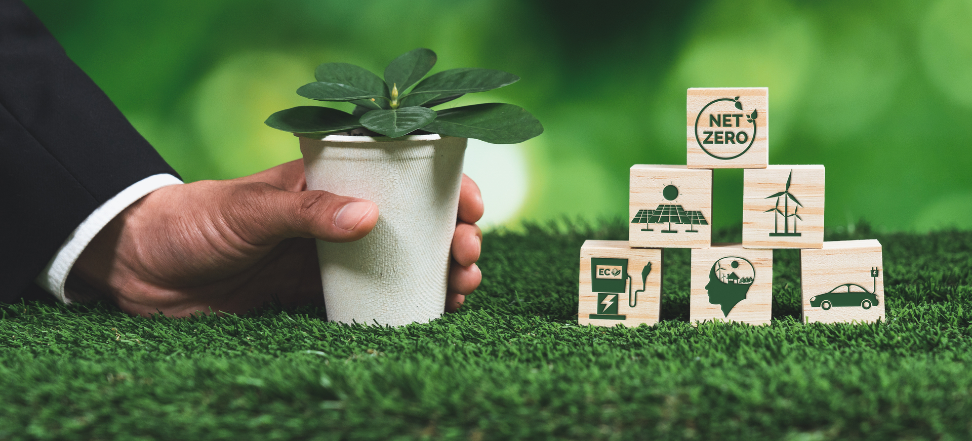 Businessman holding plant pot with Net zero cube symbol. Alter